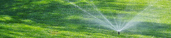 our Newark Sprinkler Repair team suggests rotary heads for large areas of grass